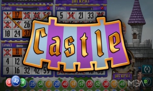 23 win + Castle game cover